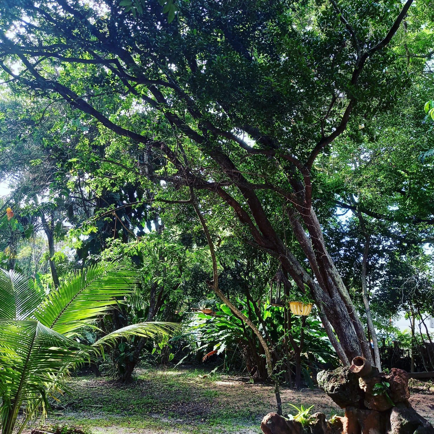 Pousada Aldeia Banzae Imbassaí Exterior foto